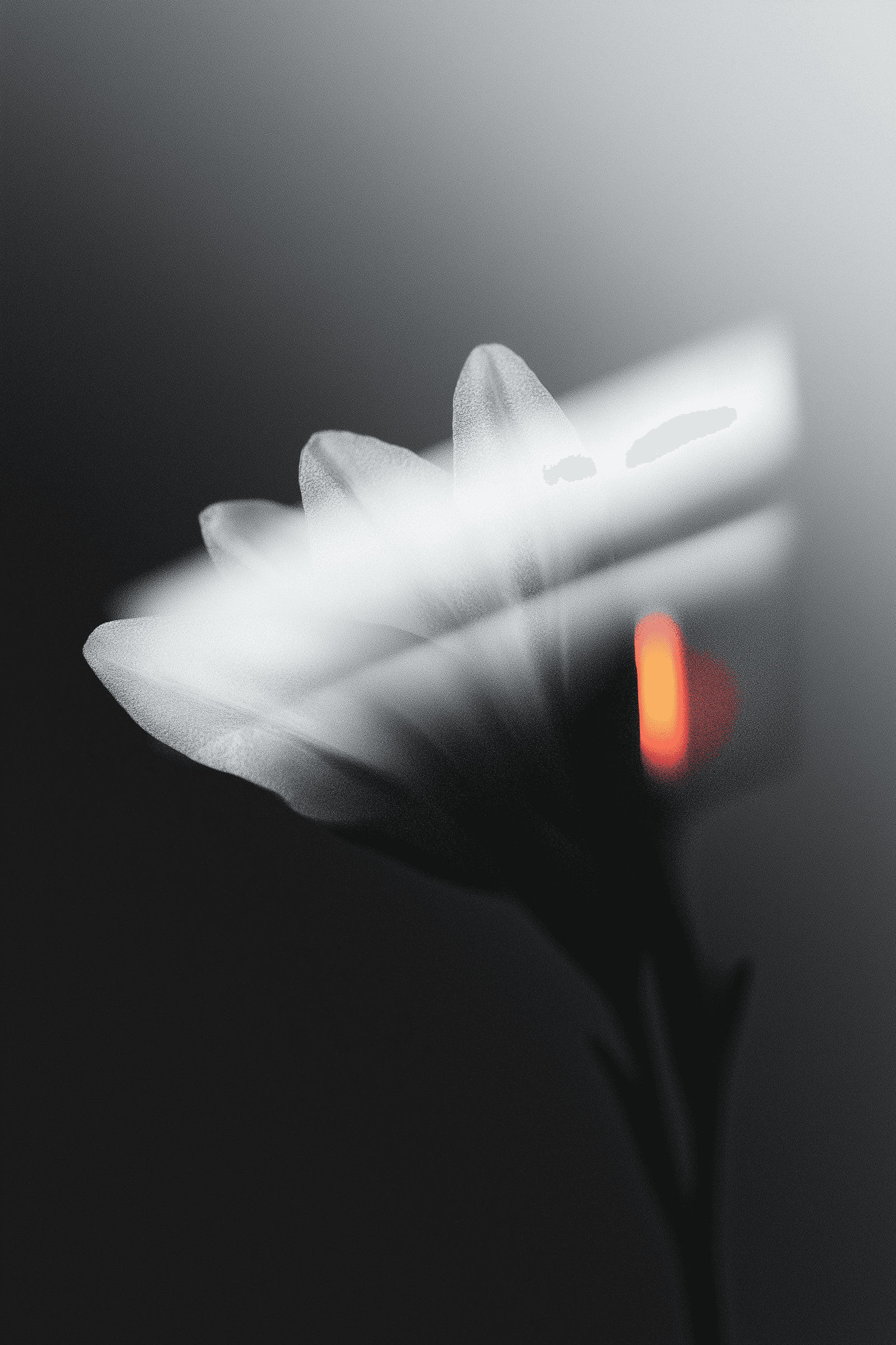 A collection of minimalist geometric shapes in black and white, arranged on a light background.